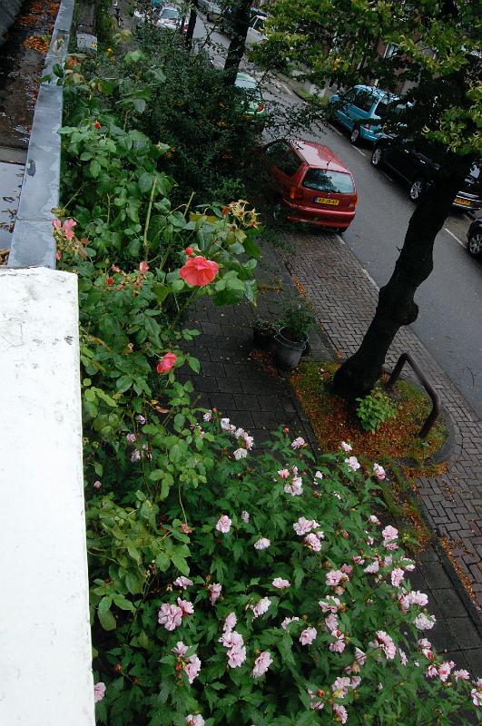 DSC_1375.JPG