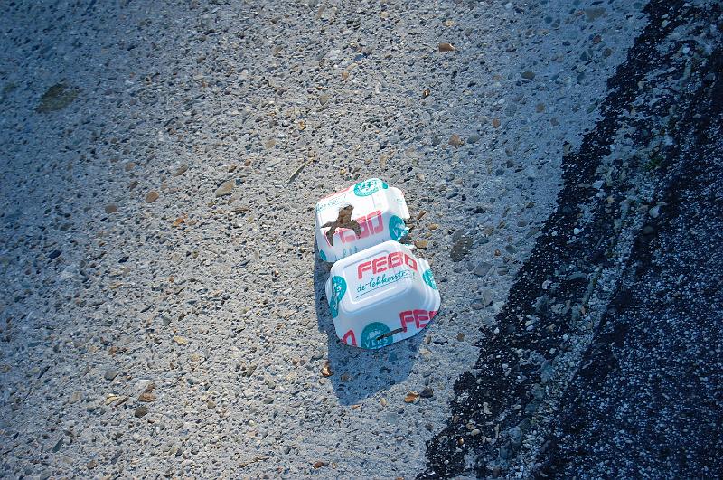 DSC_1381.JPG