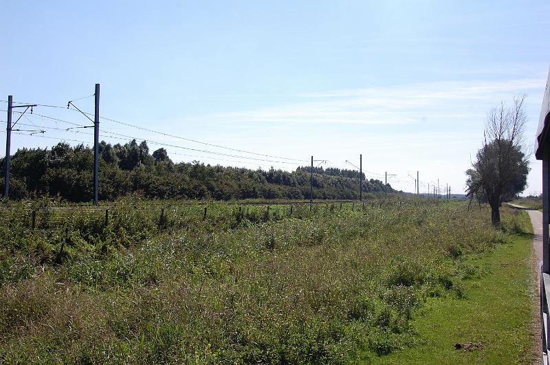 DSC_1392.JPG