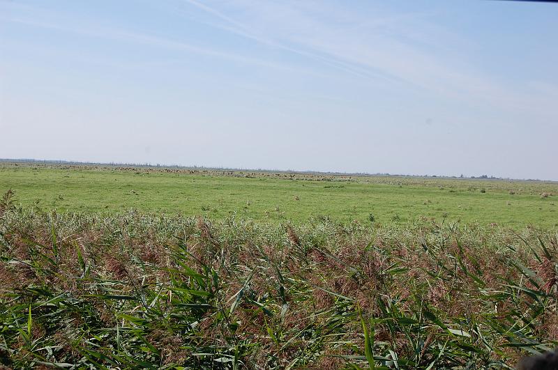 DSC_1394.JPG