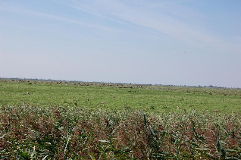 DSC_1395.JPG