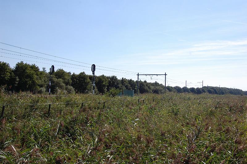 DSC_1396.JPG