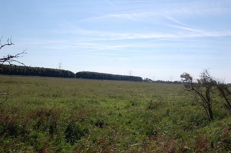 DSC_1399.JPG