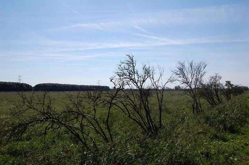 DSC_1400.JPG