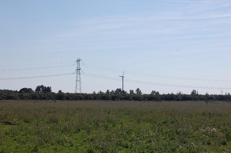 DSC_1408.JPG
