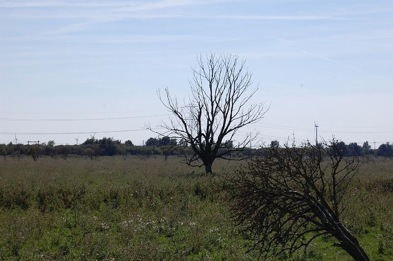 DSC_1409.JPG