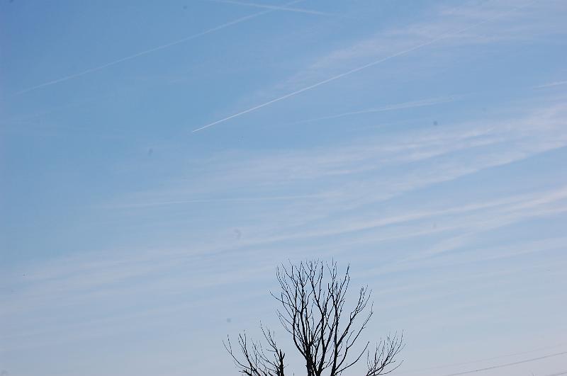 DSC_1410.JPG