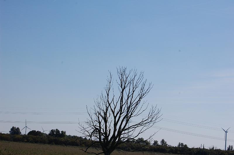 DSC_1411.JPG