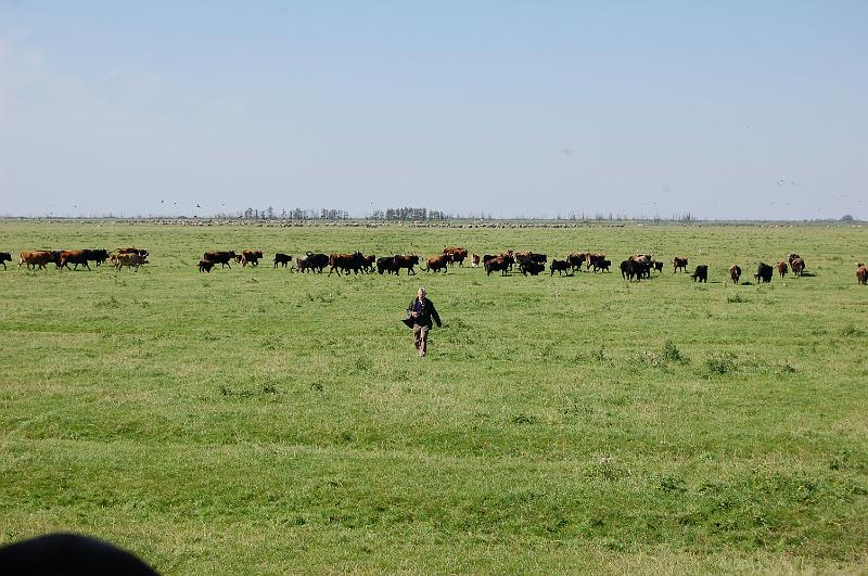 DSC_1414.JPG