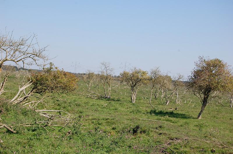 DSC_1420.JPG