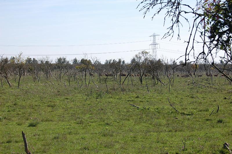 DSC_1421.JPG