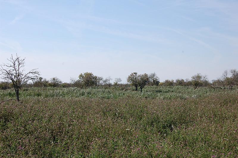 DSC_1424.JPG