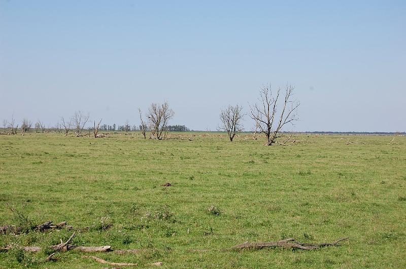 DSC_1438.JPG