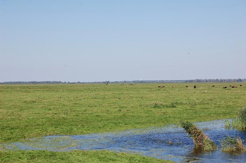 DSC_1443.JPG