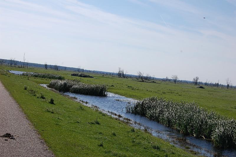 DSC_1444.JPG