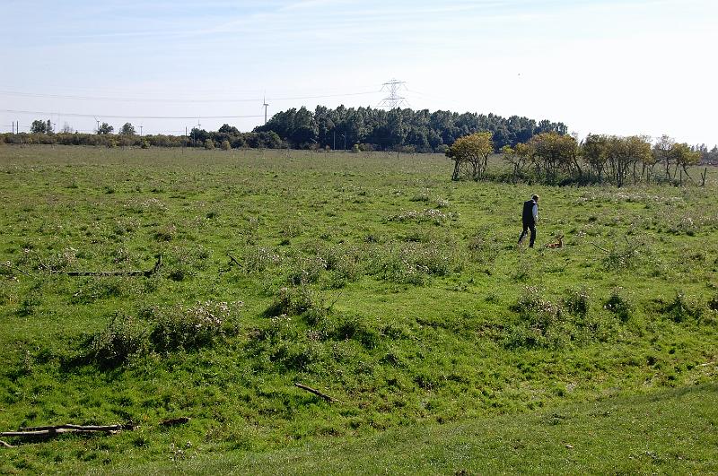 DSC_1445.JPG