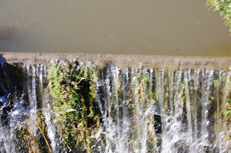 DSC_1449.JPG