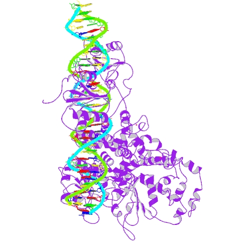 De ruimtelijke structuur van een eiwit (4gdf)