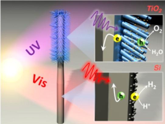 De 'kunstboom' bootst de natuurlijke fotosynthese in planten na (foro ScienceDaily) 