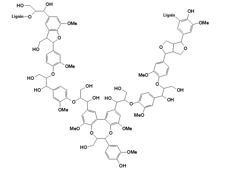 De chemische structuur van lignine