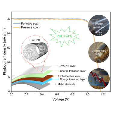 koolstofbuisjes/perovskietcellen