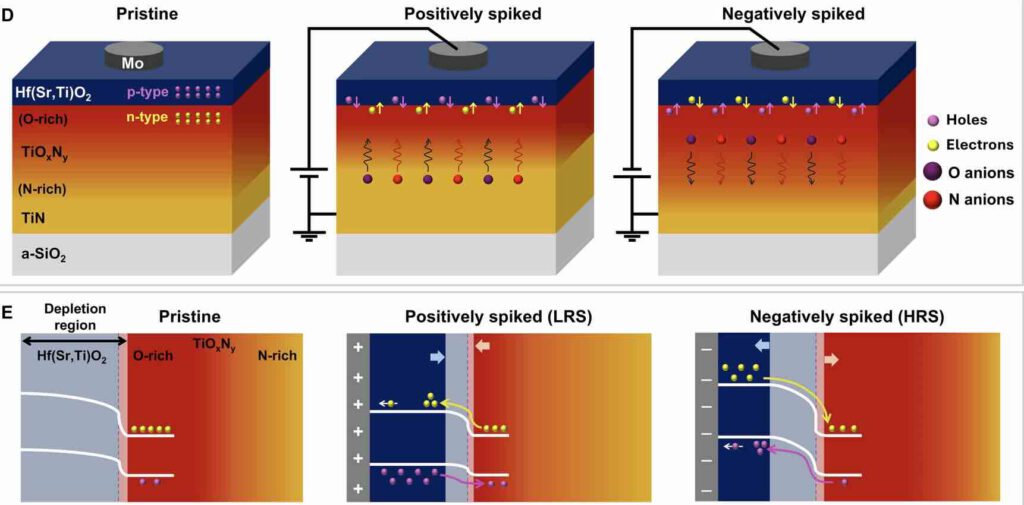Memristorsynapsen van hafniumoxide