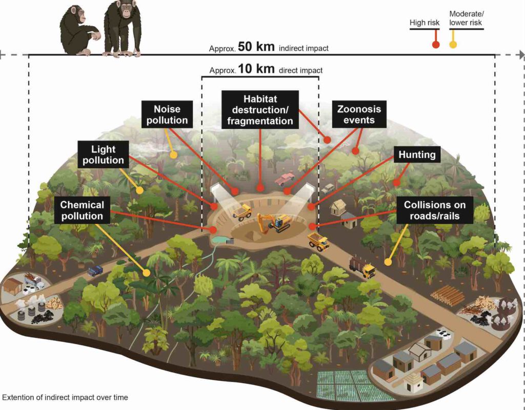 schadelijke effecten mijnbouw voor natuur en biodiversiteit