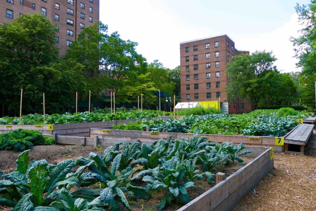 Stadstuinbouw in New York